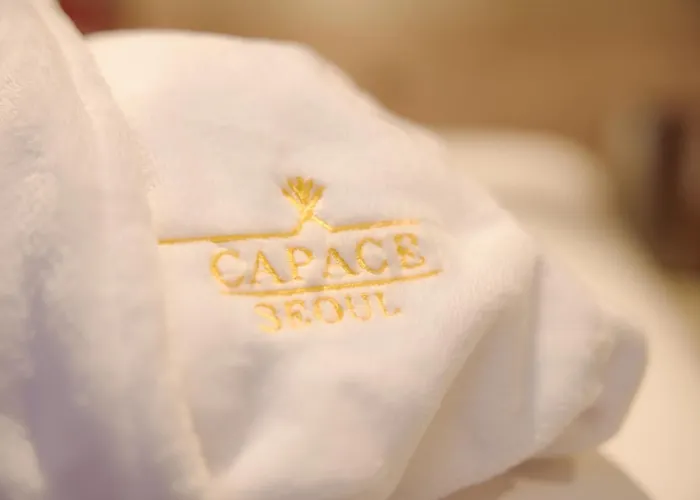 Hotel Capace Gangnam 3*