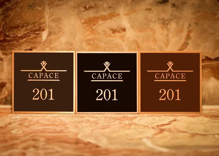 Capace Gangnam Hotel