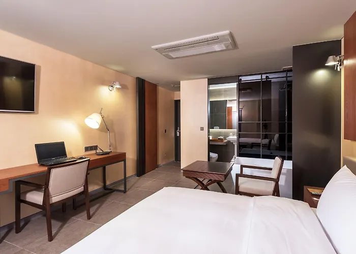Hotel Capace Gangnam 3*