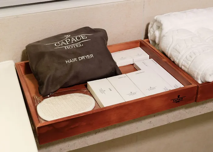 Hotel Capace Gangnam