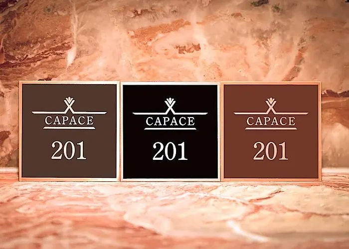 Capace Gangnam Hotel Seul